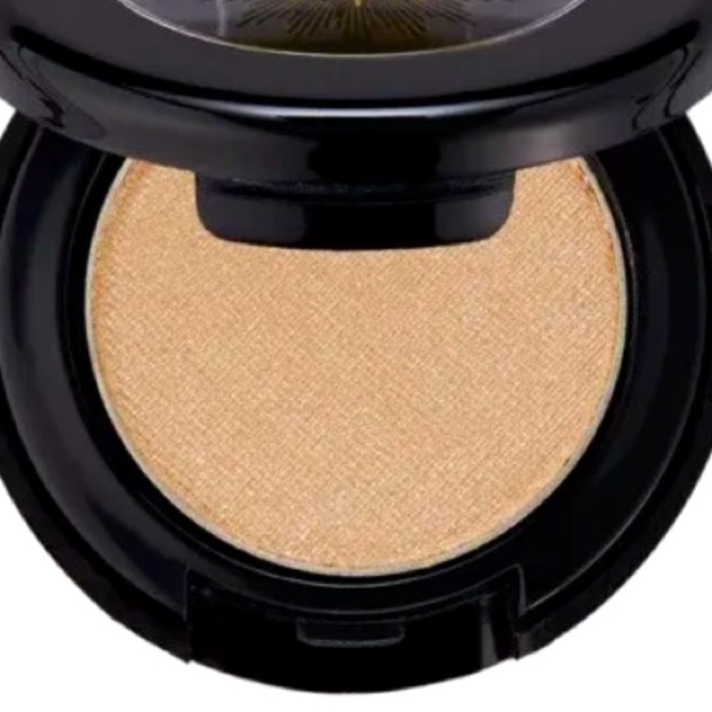 SANDPIPER EYESHADOW- SHIMMER FROM PROFESSIONAL MAKEUP ARTIST COUNTER!!!!